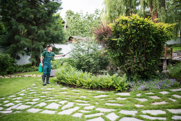 Best Pest Removal Services  in Nolensville, TN
