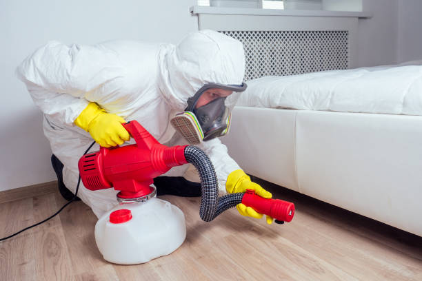Reliable Nolensville, TN Pest Control Solutions