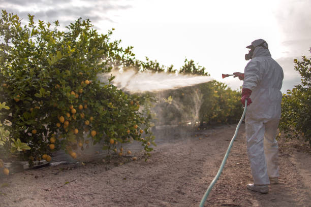 Best Pest Control Cost  in Nolensville, TN