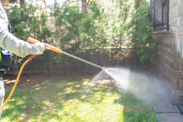 Best Termite Control Services  in Nolensville, TN