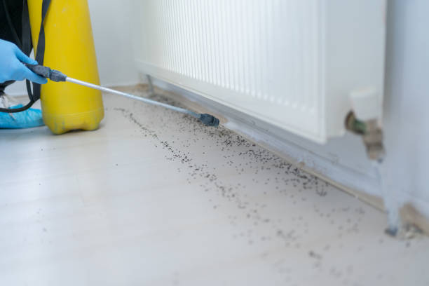 Best Pest Control Near Me in Nolensville, TN